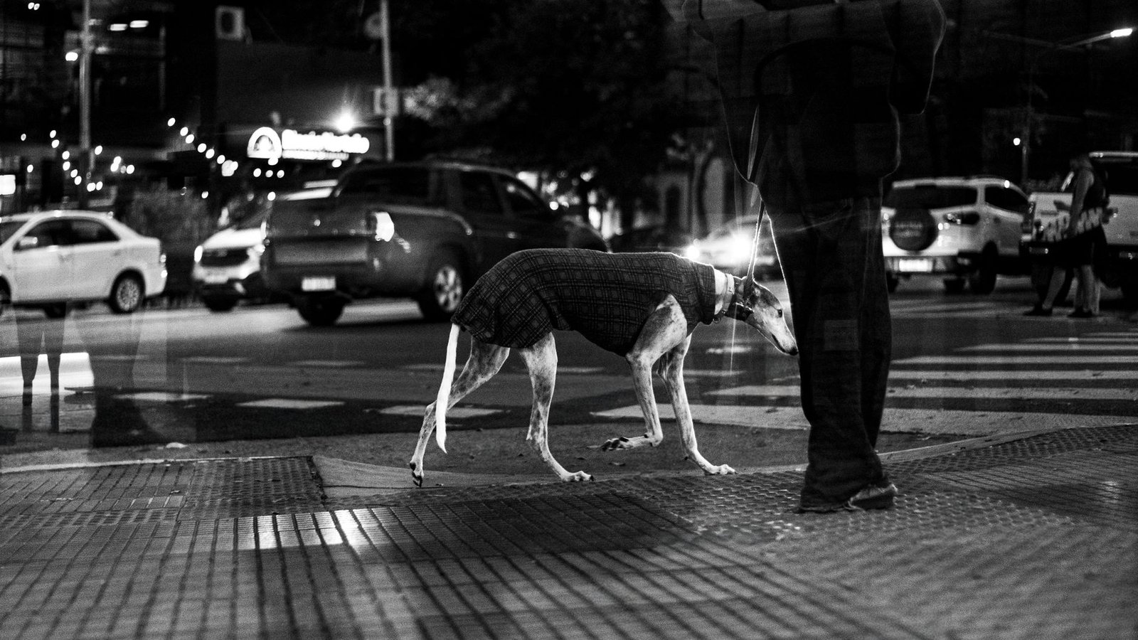 Urban life captured in black and white, featuring a person with a dog on a city street at night.